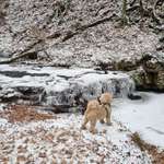 Ersteller:in Johanna Profilbild