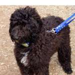 Ersteller:in Silke Profilbild