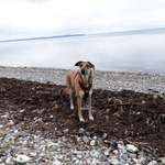 Ersteller:in Aline Profilbild