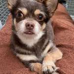 Ersteller:in Bianca Profilbild