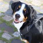 Ersteller:in Andreas Profilbild