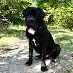 Ersteller:in Dana-Joan Profilbild