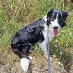 Ersteller:in Antonia Profilbild