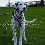 Ersteller:in Cynthia Profilbild