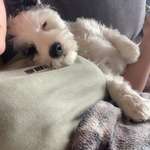 Ersteller:in Lea Profilbild