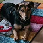 Ersteller:in Marion Profilbild