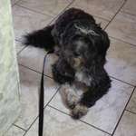 Ersteller:in Monika Profilbild