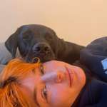 Ersteller:in Shelby Profilbild