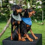 Ersteller:in Stefanie Profilbild