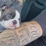 Ersteller:in Volkan Profilbild