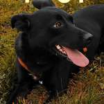 Ersteller:in Lara Profilbild