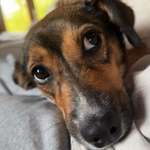 Ersteller:in Rabea Profilbild