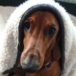 Ersteller:in Angelina Profilbild