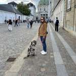 Ersteller:in Mareike Profilbild