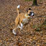 Ersteller:in Kimberley Profilbild