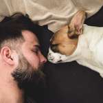 Ersteller:in Adrian Profilbild