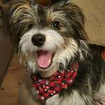 Ersteller:in Kathi Profilbild