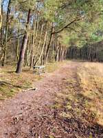 Hundeauslaufgebiet-Öhlner See Diepolz/Drebber-Bild