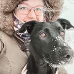 Ersteller:in Lisa Profilbild