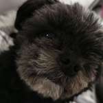 Ersteller:in La Profilbild