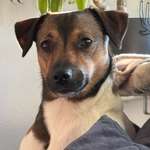 Ersteller:in Carina Profilbild