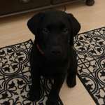 Ersteller:in Sonja Profilbild