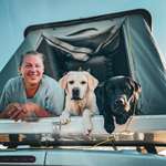 Ersteller:in Gabi mit Klitschko & Punchy 🙋🏼‍♀️🐶🐶 Profilbild