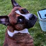 Ersteller:in David Profilbild