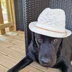 Ersteller:in Jasmin Profilbild