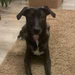 Ersteller:in Kim Profilbild