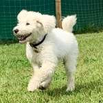 Ersteller:in Melinda Profilbild