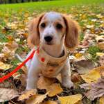 Ersteller:in Angelique Profilbild