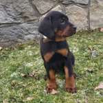 Ersteller:in K Profilbild