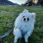 Ersteller:in Jessi Profilbild