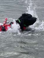 Schwimmen lernen-Beitrag-Bild