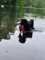 Schwimmen lernen-Beitrag-Bild