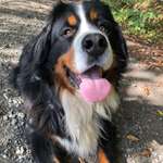 Ersteller:in Jessica Profilbild