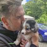 Ersteller:in Horst Profilbild