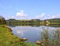 Hundeauslaufgebiet-Rottauensee-Bild