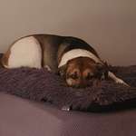 Ersteller:in Carola Profilbild