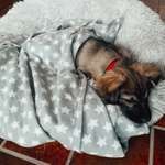 Ersteller:in Jacqueline Profilbild