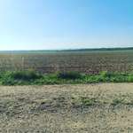 Hundeauslaufgebiet-EhemaligerTagebau-Bild