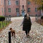 Ersteller:in Laura Profilbild