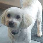 Ersteller:in Jacqueline Profilbild