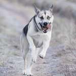 Ersteller:in Lo Profilbild