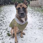 Ersteller:in Lisa Profilbild