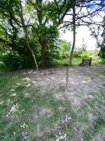 Hundeauslaufgebiet-Vorwerker Hunde Wiese-Bild