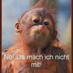 Ersteller:in Renate Profilbild