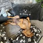 Ersteller:in Kim Sarah Profilbild