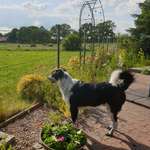 Ersteller:in Ralf Profilbild